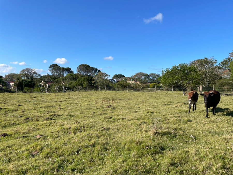 0 Bedroom Property for Sale in Bathurst Eastern Cape